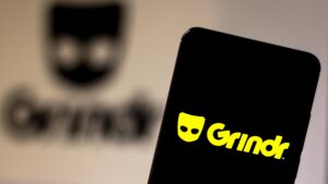 Grindr Alerts Egyptian Users of Police-Operated Profiles