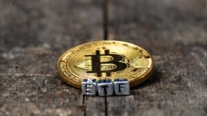 Bitcoin Surges Past $31K as Spot BTC ETF Issuers Re-apply