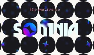 New L1 Blockchain Looks to Boost Scalability and Speed in Metaverse  
